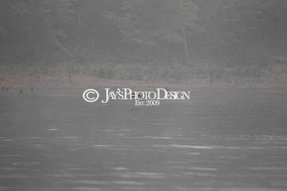 JWM 180910_FLW Forrest Wood Cup (Day 1)_0219