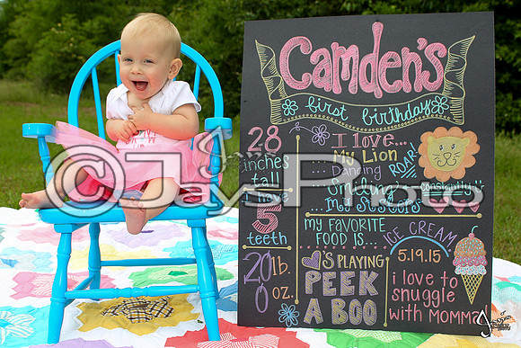 Camden's 1st Birthday pictures_0336