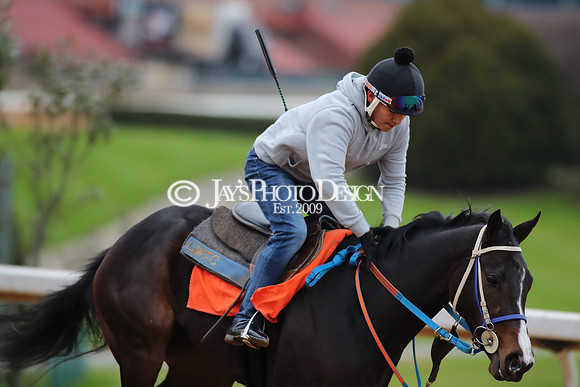 z250104_SmartyJonesStakesDay _JWM_0086