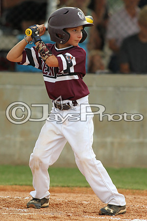 Benton vs. Clark County 6-27-16_JWM_0246