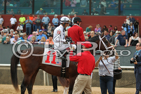 Southwest Stakes (GradeIII) 2-20-17_JWM00993