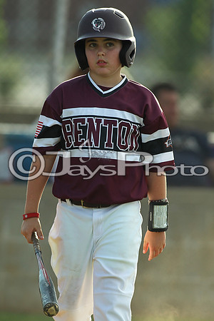 Benton vs. Clark County 6-24-16_JWM_0163