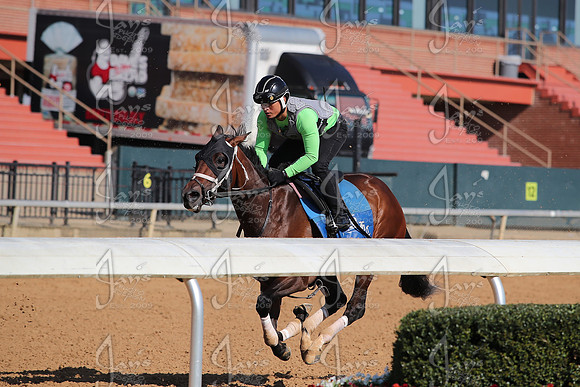 Apple Blossom Stakes Day 4-12-25_JWM_0013