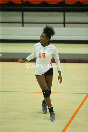 Camden Fairview @ Malvern JV_JWM_0233