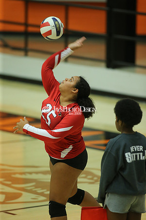 Camden Fairview @ Malvern JV_JWM_0264
