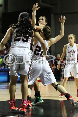 Nemo Vista vs. Wonderview 1A Girls State Finals 3-12-2015 (©Justin Manning) JWM_371