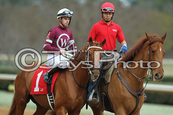 Southwest Stakes (GradeIII) 2-20-17_JWM00122