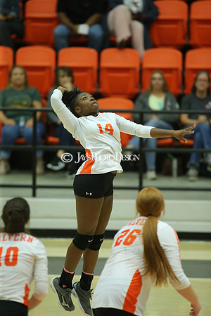 Camden Fairview @ Malvern JV_JWM_0241