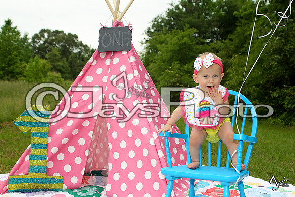 Camden's 1st Birthday pictures_0674