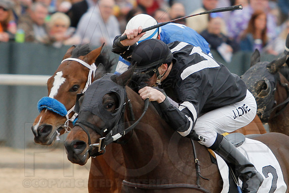 Fantasy Stakes 4-5-2014 (© Justin Manning) JWM_0120