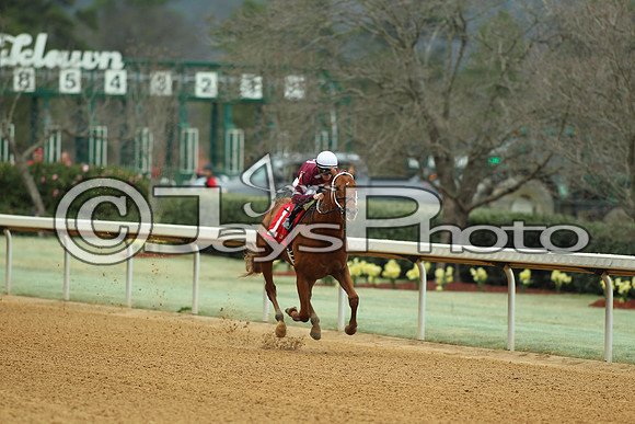 Southwest Stakes (GradeIII) 2-20-17_JWM00204