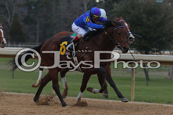 Oaklawn Smarty Jones Stakes 1-18-2016 (©Justin Manning) JWM_(0457