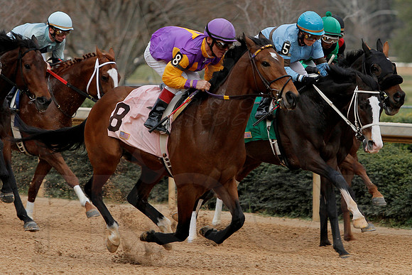 Oaklawn 8th Race 3-9-13 JWM0010 (©Justin Manning)