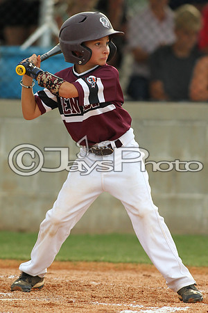 Benton vs. Clark County 6-27-16_JWM_0247