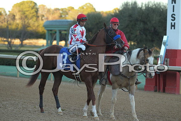 JWM_160215-southwest_0715