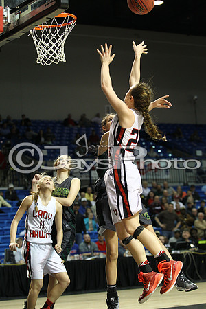 Nemo Vista vs. Wonderview 1A Girls State Finals 3-12-2015 (©Justin Manning) JWM_267
