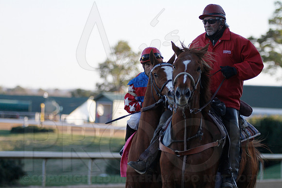 Oaklawn 1-21-13 (Smarty Jones Stakes) (Justin Manning)0191