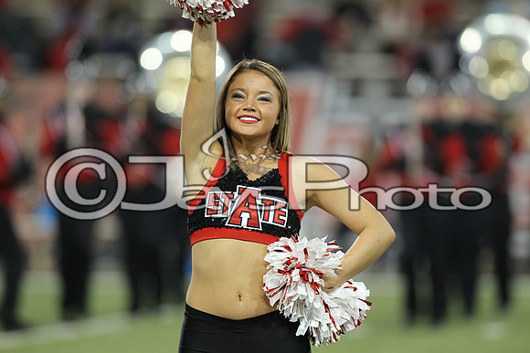 Louisiana Lafayette @ Arkansas State 10-20-2015 (©Justin Manning) JWM_0005