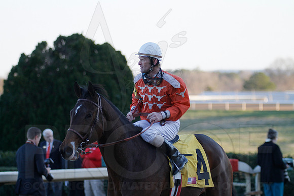 Oaklawn 1-21-13 (Smarty Jones Stakes) (Justin Manning)0226