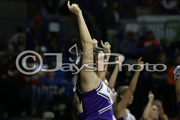 Riverview vs. Ozark 4A Girls State Finals 3-13-2015 (©Justin Manning) JWM_594