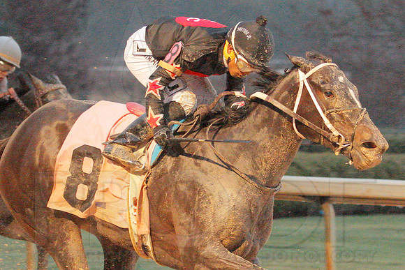 Dixie Belle Stakes 1-10-14 (©Justin Manning) JWM_0098