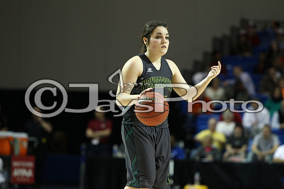 Nemo Vista vs. Wonderview 1A Girls State Finals 3-12-2015 (©Justin Manning) JWM_326