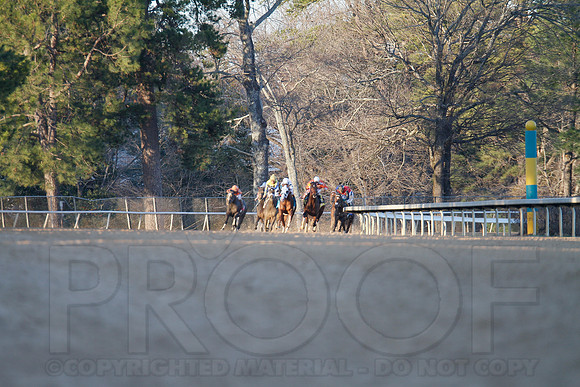 Oaklawn 1-21-13 (Smarty Jones Stakes) (Justin Manning)0213
