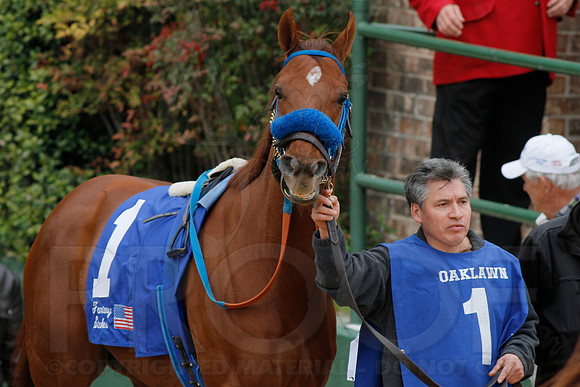 Fantasy Stakes 4-5-2014 (© Justin Manning) JWM_0442