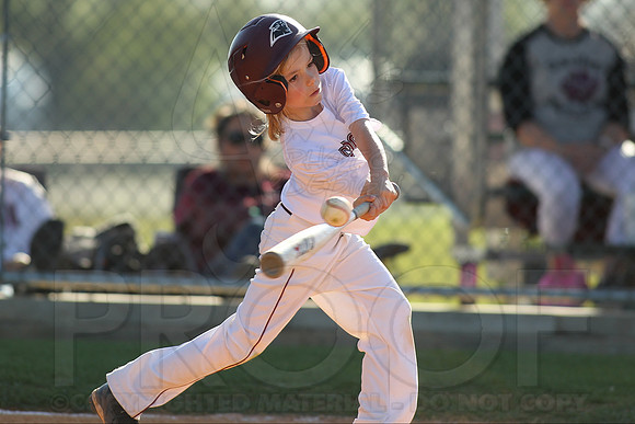 Benton Panthers vs. Arkansas Travelers 7's_JWM_0261