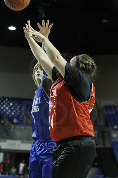 Exhibition Game Project Unify- Special Olympics- Mena vs Forrest City 3-14-2014 (© Justin Manning) JWM_0012