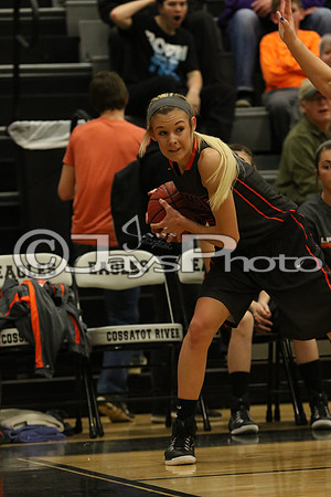 Lamar vs. Perryville Girls 3A State 3-6-2015 (©Justin Manning) JWM_079