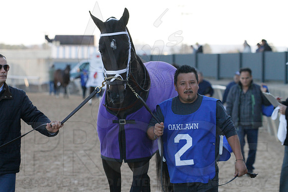 Oaklawn 1-21-13 (Smarty Jones Stakes) (Justin Manning)0067