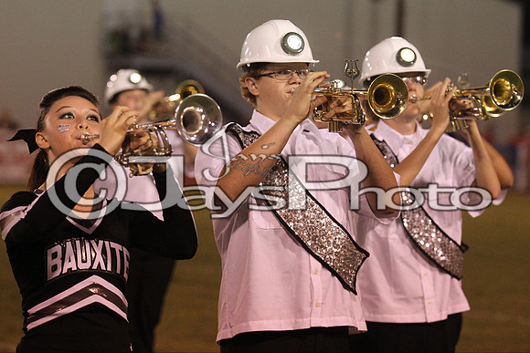 Glen Rose @ Bauxite 9-11-2015 (©Justin Manning) JWM_0503