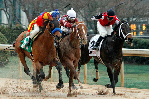 Rebel Stakes 3-15-14 3-15-2014 (© Justin Manning) JWM_0231-2