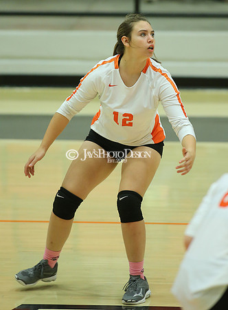Camden Fairview @ Malvern JV_JWM_0105
