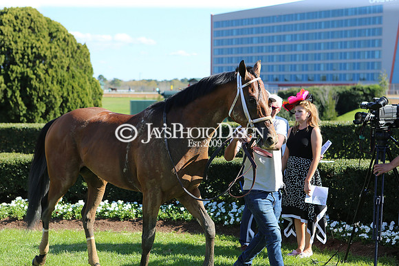 z220402_ArkansasDerbyday_Manning_JWM_1325