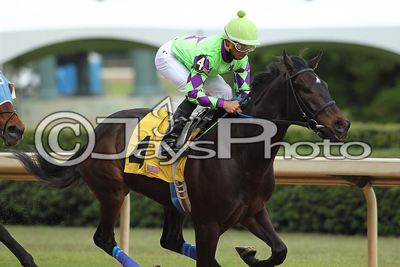 Oaklawn_0214