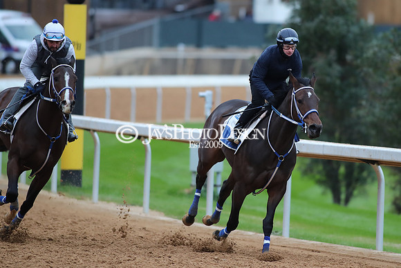 z250104_SmartyJonesStakesDay _JWM_0075