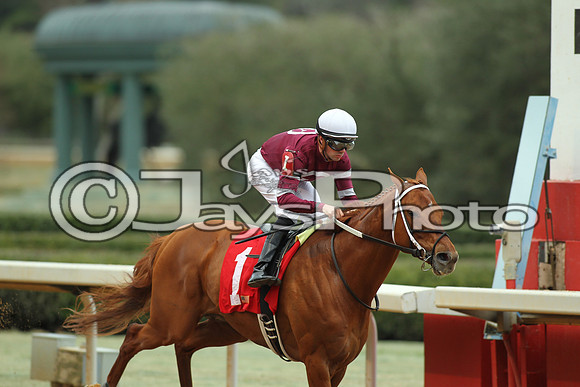 Southwest Stakes (GradeIII) 2-20-17_JWM00218