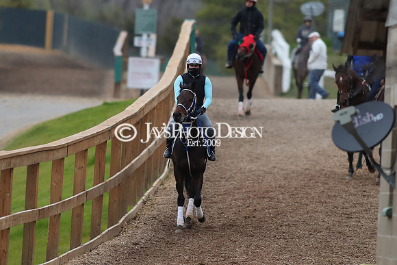 z250104_SmartyJonesStakesDay _JWM_0114