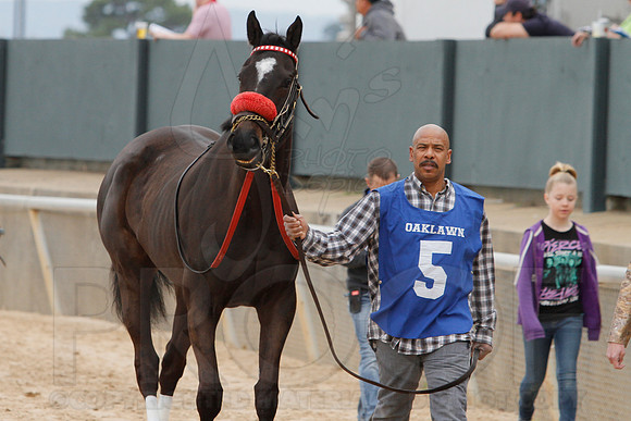 Fantasy Stakes 4-5-2014 (© Justin Manning) JWM_0379