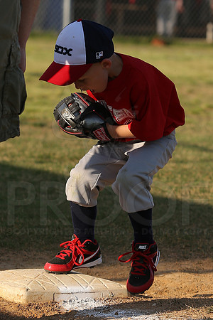 White Sox vs Angels 4-22-13 (©Justin Manning) JWM0031