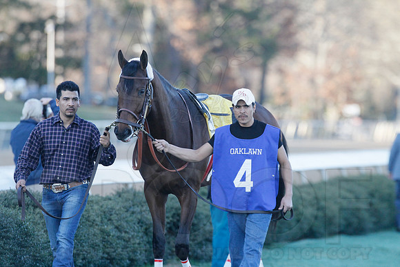 Oaklawn 1-21-13 (Smarty Jones Stakes) (Justin Manning)0118