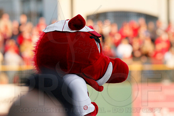 Miss Valley State @ Arkansas Baseball 3-27-13 (© Justin Manning) JWM0061