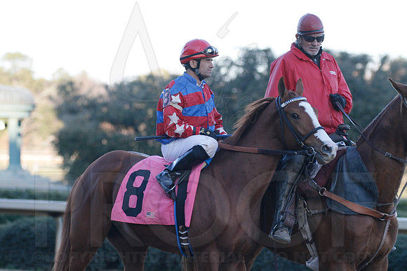 Oaklawn 1-21-13 (Smarty Jones Stakes) (Justin Manning)0175