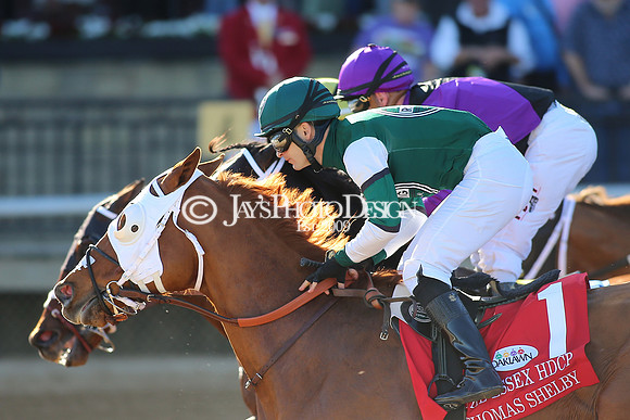 z220319_WhitmoreStakesday_Manning_0728