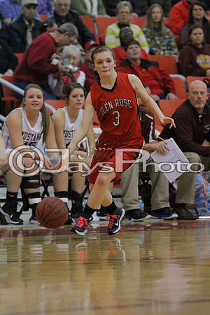 Glen Rose vs. Perryville Girls 3A District Tournament 2-20-2015 (©Justin Manning) JWM_064