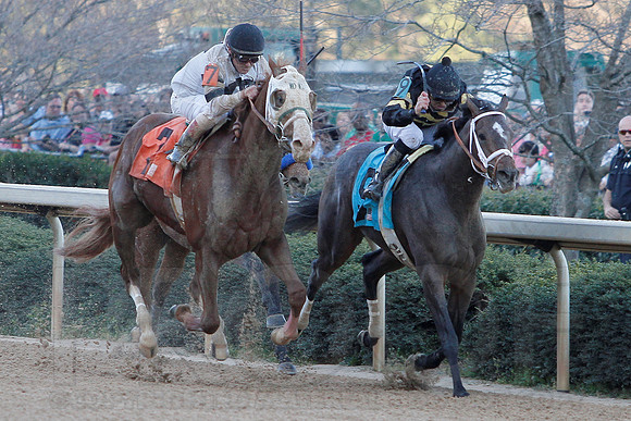 Rebel Stakes 3-16-13 JWM0204 (©Justin Manning)