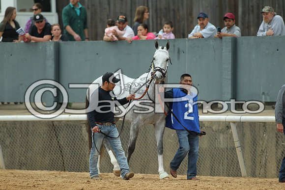 Southwest Stakes (GradeIII) 2-20-17_JWM00398