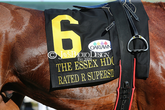 z220319_WhitmoreStakesday_Manning_0620